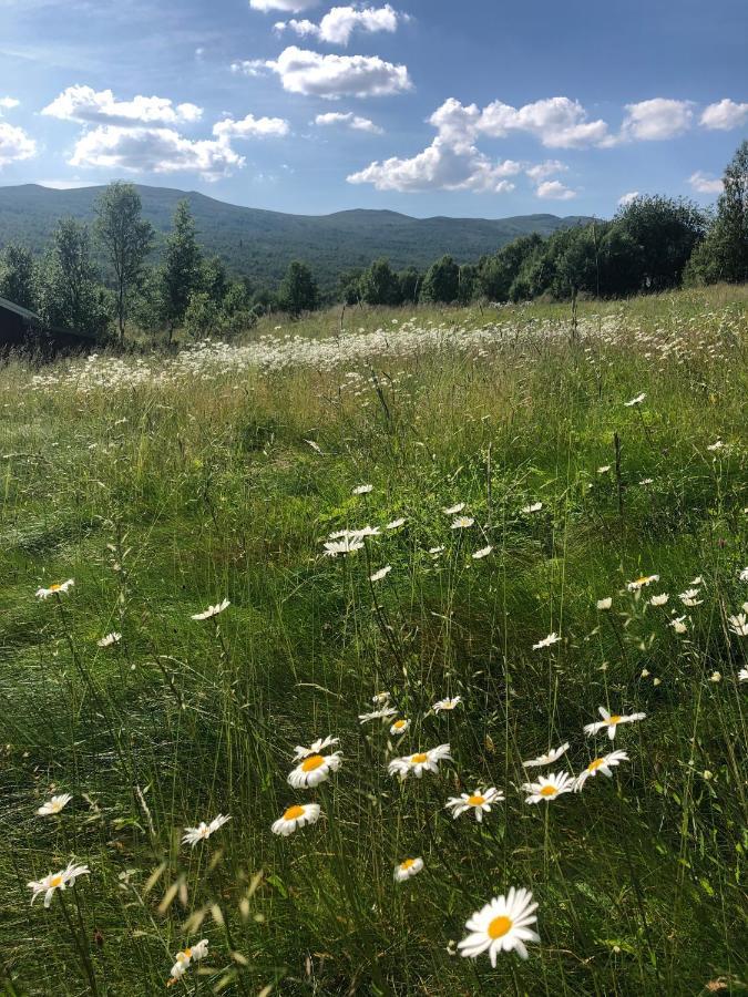 Taenndalens Stugby Villa Exteriör bild