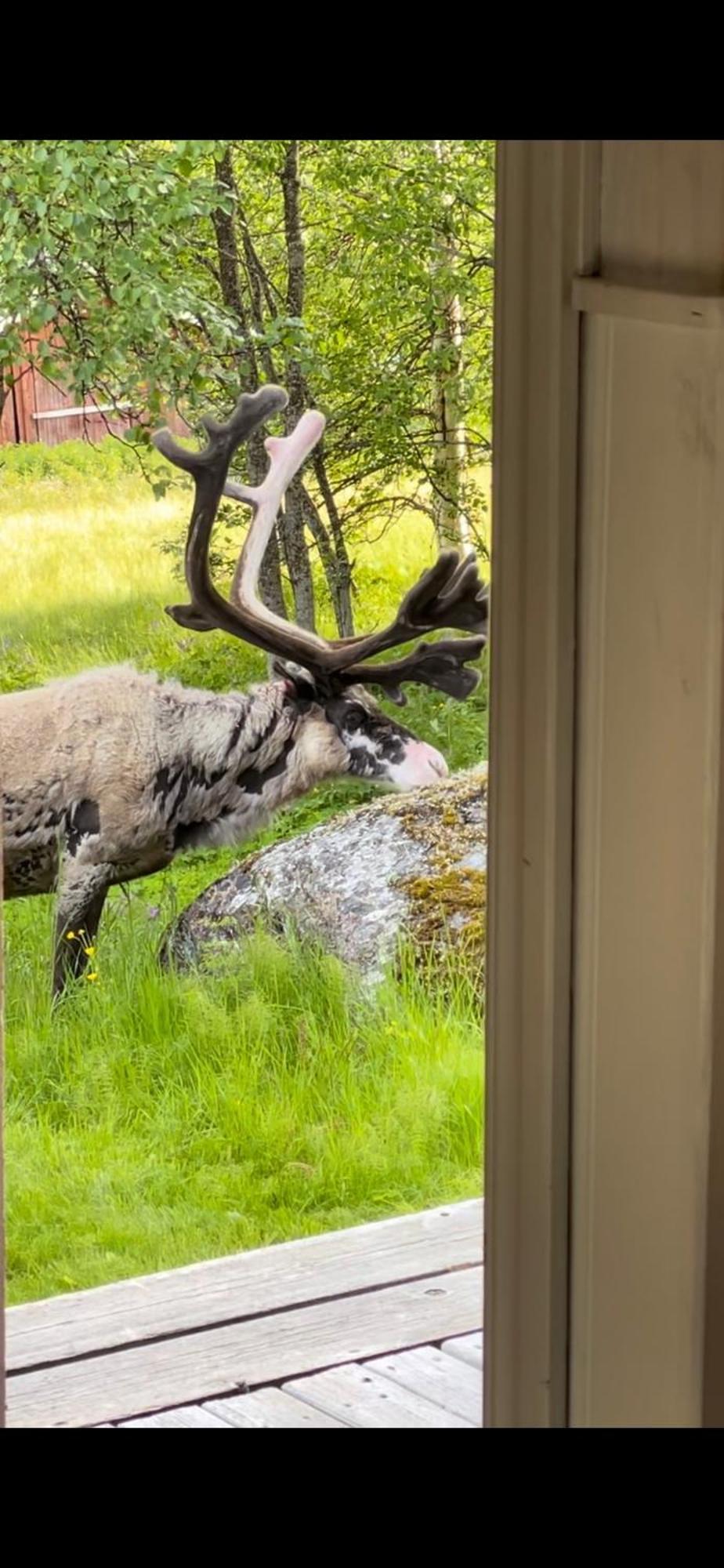 Taenndalens Stugby Villa Exteriör bild